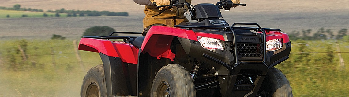 2018 Honda® TRX® 420 Rancher® for sale in Dunfords of Dunfords of Havelock, Havelock, Ontario