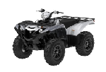 ATVs for sale in Peterborough, ON